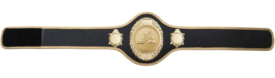 JIU JITSU CHAMPIONSHIP BELT-PRO286/G/JJG-10+ COLOURS